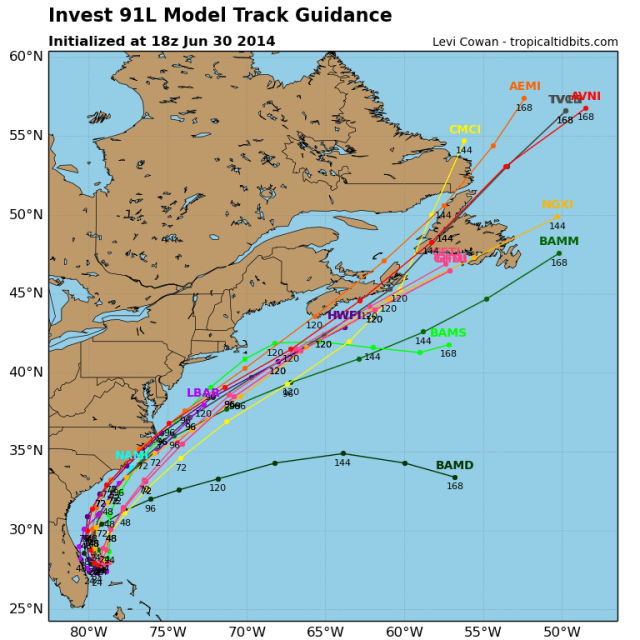 91L models