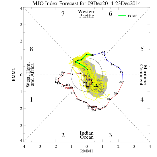ECM MJO