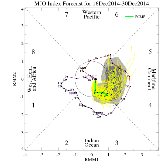 ECM MJO