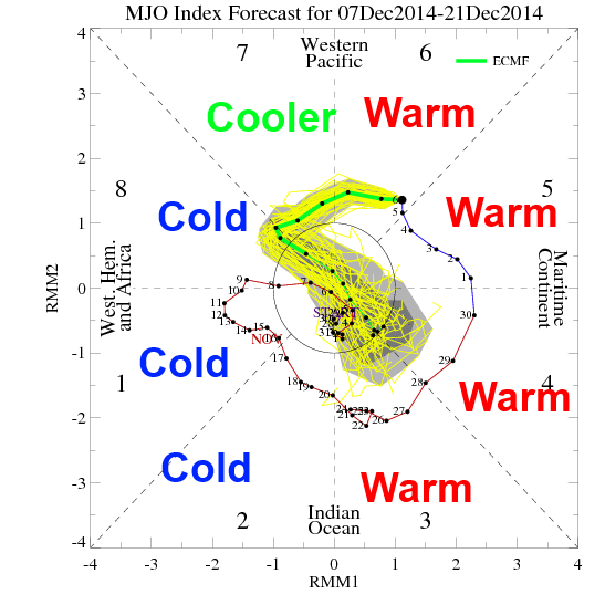 MJO forecast