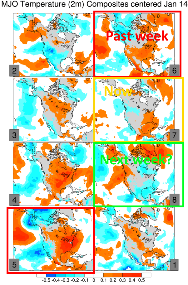 MJO phases