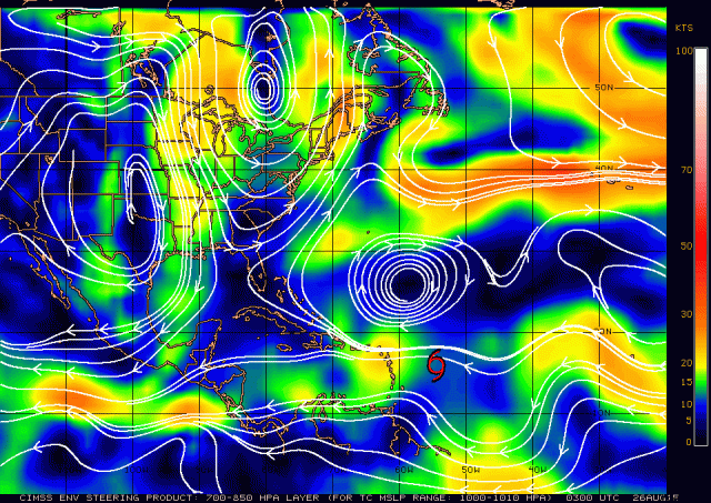 Erika current steering