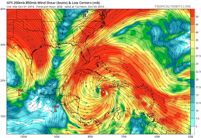 matthew-gfs-shear-60