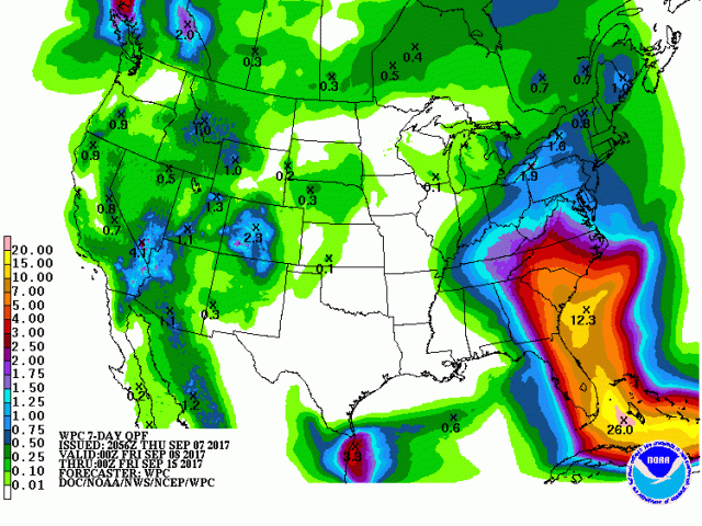 Irma QPF
