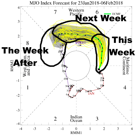 MJO forecast